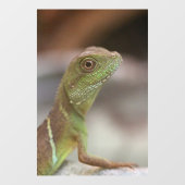Autocollant Pour Fenêtre Baiser d'Iguana (Feuille)