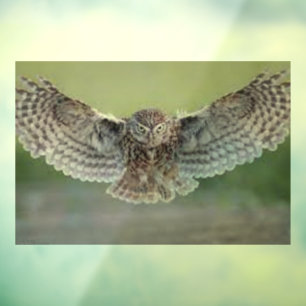 AUTOCOLLANT POUR FENÊTRE BELLE FENÊTRE "OWL IN FLIGHT" CLAIR