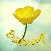 Autocollant Pour Fenêtre Beurre Décal Customisé Beurre Clouage de la fenêtr (Feuille 3)