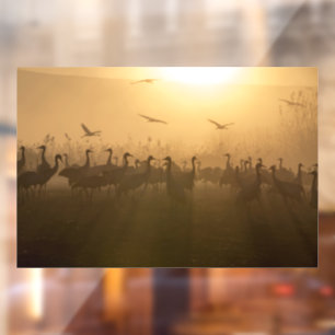 Autocollant Pour Fenêtre Bouée d'oiseaux de grues au lac Agamon HaHula, Isr