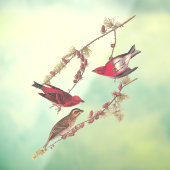 Autocollant Pour Fenêtre Bouvreuil Pourpré d'Audubon Trois Oiseaux Rouges e (Feuille 3)