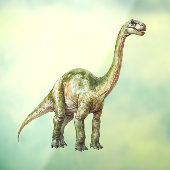 Autocollant Pour Fenêtre brachiosaure (Feuille 3)