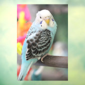 Autocollant Pour Fenêtre Budgie (Feuille 3)