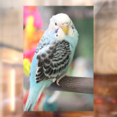Autocollant Pour Fenêtre Budgie (Feuille 2)