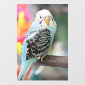 Autocollant Pour Fenêtre Budgie (Feuille)