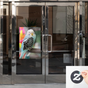 Autocollant Pour Fenêtre Budgie