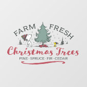 Autocollant Pour Fenêtre cacahuètes | Arbres de Noël frais de ferme (Feuille)