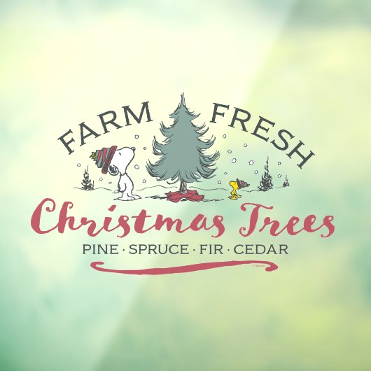 Autocollant Pour Fenêtre cacahuètes | Arbres de Noël frais de ferme (Feuille 3)