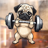 Carlin fitness