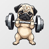 Autocollant Pour Fenêtre Carlin fitness (Feuille)