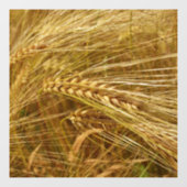 Autocollant Pour Fenêtre Champ de blé. C’est l’heure de la récolte ! (Feuille)