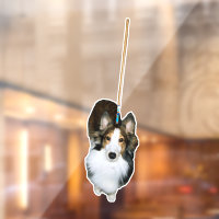 Chien à la broche