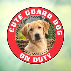 Autocollant Pour Fenêtre Chien de Garde en Service Alerte Photo de Chien Pe