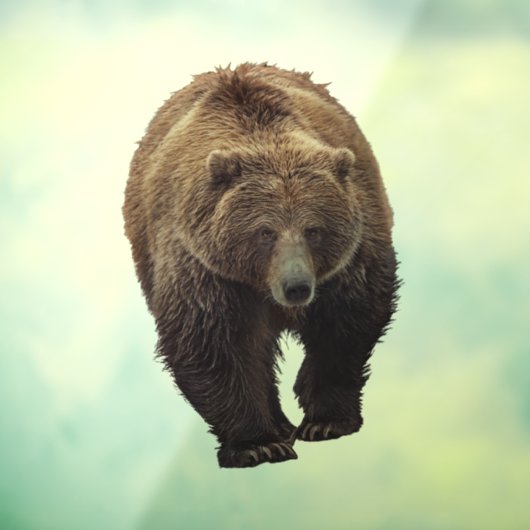 AUTOCOLLANT POUR FENÊTRE CLAIR DE FENÊTRE D'OURS GRIZZLY (Feuille 3)