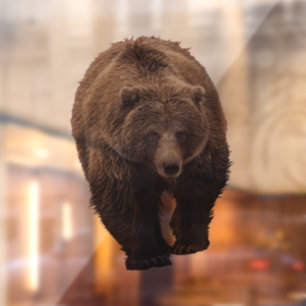 AUTOCOLLANT POUR FENÊTRE CLAIR DE FENÊTRE D'OURS GRIZZLY