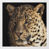 AUTOCOLLANT POUR FENÊTRE CLAIR DE FENÊTRE EN VERRE LÉOPARD (Feuille)