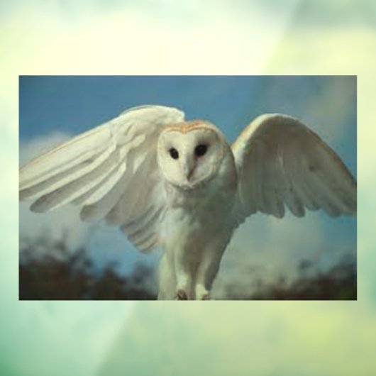 AUTOCOLLANT POUR FENÊTRE CLAIR DE LA FENÊTRE "OWL IN FLIGHT" (Feuille 3)