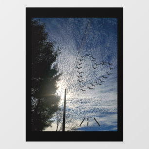 Autocollant Pour Fenêtre Clôture de fenêtre