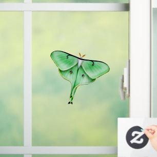 Autocollant Pour Fenêtre Clôture de la fenêtre de bogues d'insectes de lu