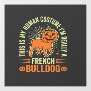 Autocollant Pour Fenêtre Conception de costume humain drôle de bouledogue f