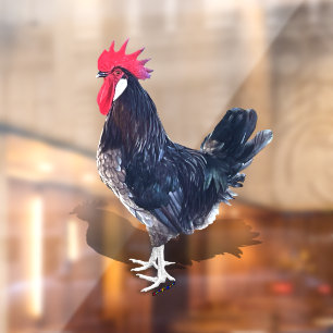 Autocollant Pour Fenêtre Coq de Minorque
