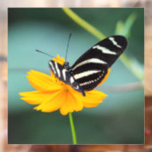 Autocollant Pour Fenêtre Costa Rica - Zebra Longwing Butterfly (Feuille 2)