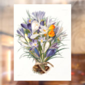 Autocollant Pour Fenêtre Crocus Spring Flower Botanique Floral Art (Feuille 2)