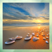 Autocollant Pour Fenêtre Customisez vos propres coquillages clairs (Feuille 3)