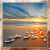 Autocollant Pour Fenêtre Customisez vos propres coquillages clairs (Feuille 2)