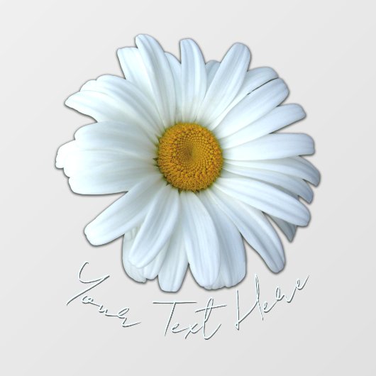 Autocollant Pour Fenêtre Daisy Decal Personnalisé Wild Daisy Window Clouage (Feuille)
