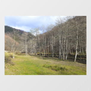 Autocollant Pour Fenêtre Début d'automne au bord de la rivière - Wild Natur