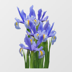 Autocollant Pour Fenêtre Décal de fenêtre 2 - Clôture avant - choisir la ta