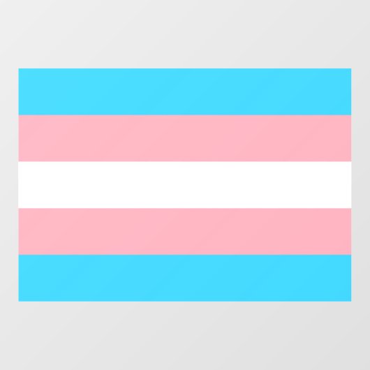 Autocollant Pour Fenêtre Drapeau transgenre LGBTQIA+ Clôture de la fenêtre (Feuille)