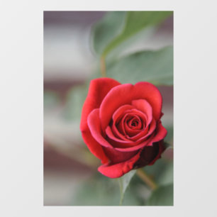 Autocollant pour fenêtre - Élégance de la rose rou