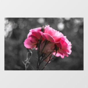 Autocollant pour fenêtre - Élégance de rose rose