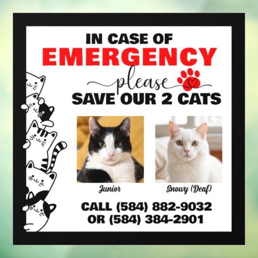 Autocollant Pour Fenêtre En Coque d'urgence Économisez 2 Chats avec Photo p (Feuille 3)