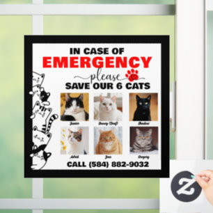 Autocollant Pour Fenêtre En Coque d'urgence Économisez 6 Chats avec photo p