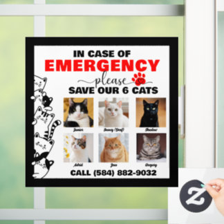 Autocollant Pour Fenêtre En Coque d'urgence Économisez 6 Chats avec photo p