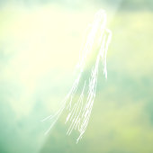 Autocollant Pour Fenêtre Femme Ghoost (Feuille 3)