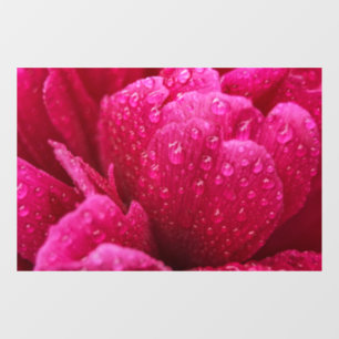 Autocollant pour fenêtre - Fleur de pivoine après