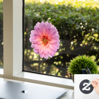 Autocollant Pour Fenêtre Fleur de Zinnia rose