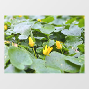Autocollant Pour Fenêtre Fleurs sauvages de la forêt – Photographie botaniq