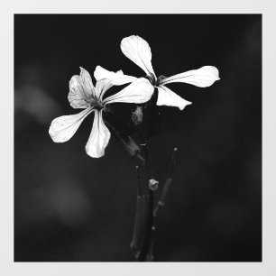 Autocollant Pour Fenêtre floral noir et blanc minimal