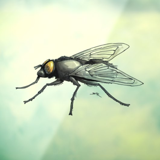 Autocollant Pour Fenêtre Fly Buddy petite vue à travers la fenêtre agrippan (Feuille 3)