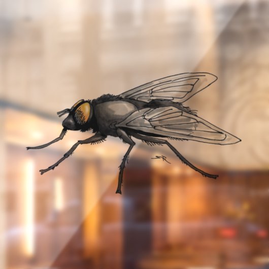 Autocollant Pour Fenêtre Fly Buddy voir-thru fenêtre agrafe avant (Feuille 2)