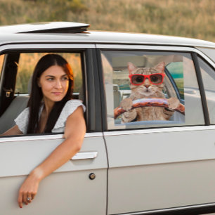 Autocollant Pour Fenêtre Funny Chat voiture de conduite ombre 12" x 12"