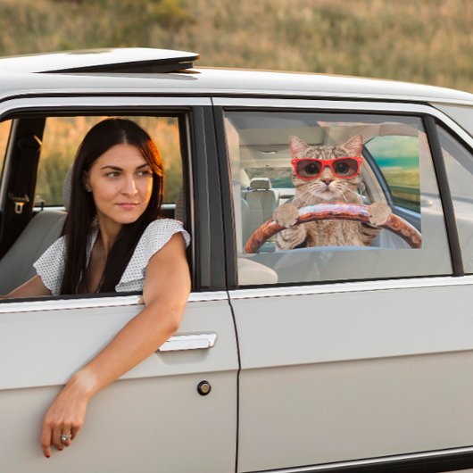 Autocollant Pour Fenêtre Funny Chat voiture de conduite ombre 16" x 12"