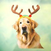 Autocollant Pour Fenêtre Golden Retriever Reindee (Feuille 3)