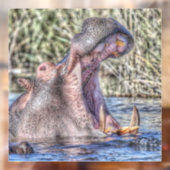 Autocollant Pour Fenêtre hippo peint (Feuille 2)