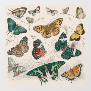 Autocollant Pour Fenêtre Illustration de papillon antique : 1820 Orfèvre